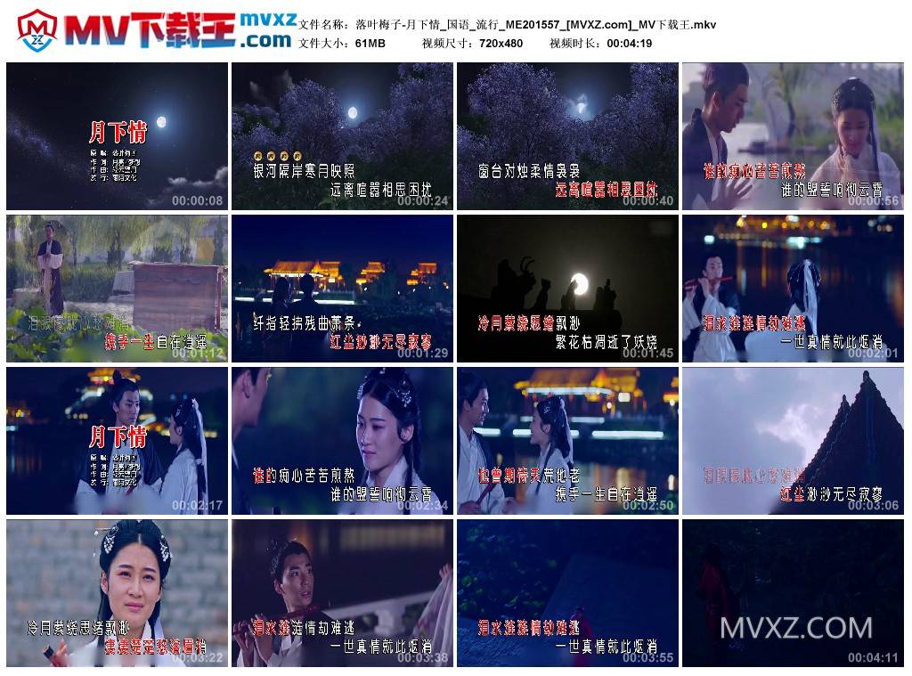 落叶梅子-月下情_国语_流行_ME201557
